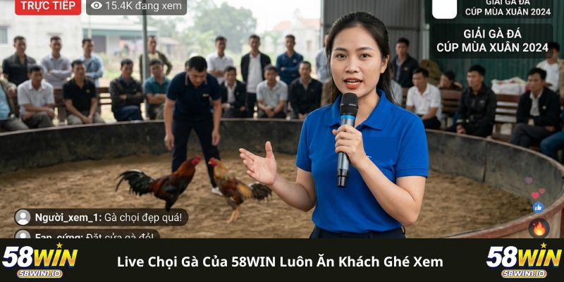 Live chọi gà của 58WIN luôn ăn khách ghé xem