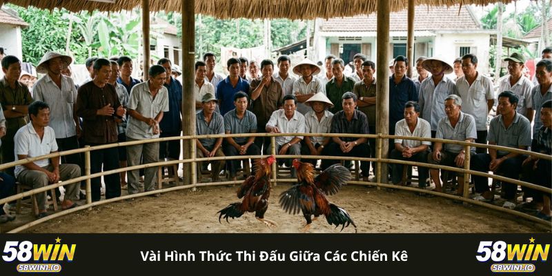 Vài hình thức thi đấu giữa các chiến kê